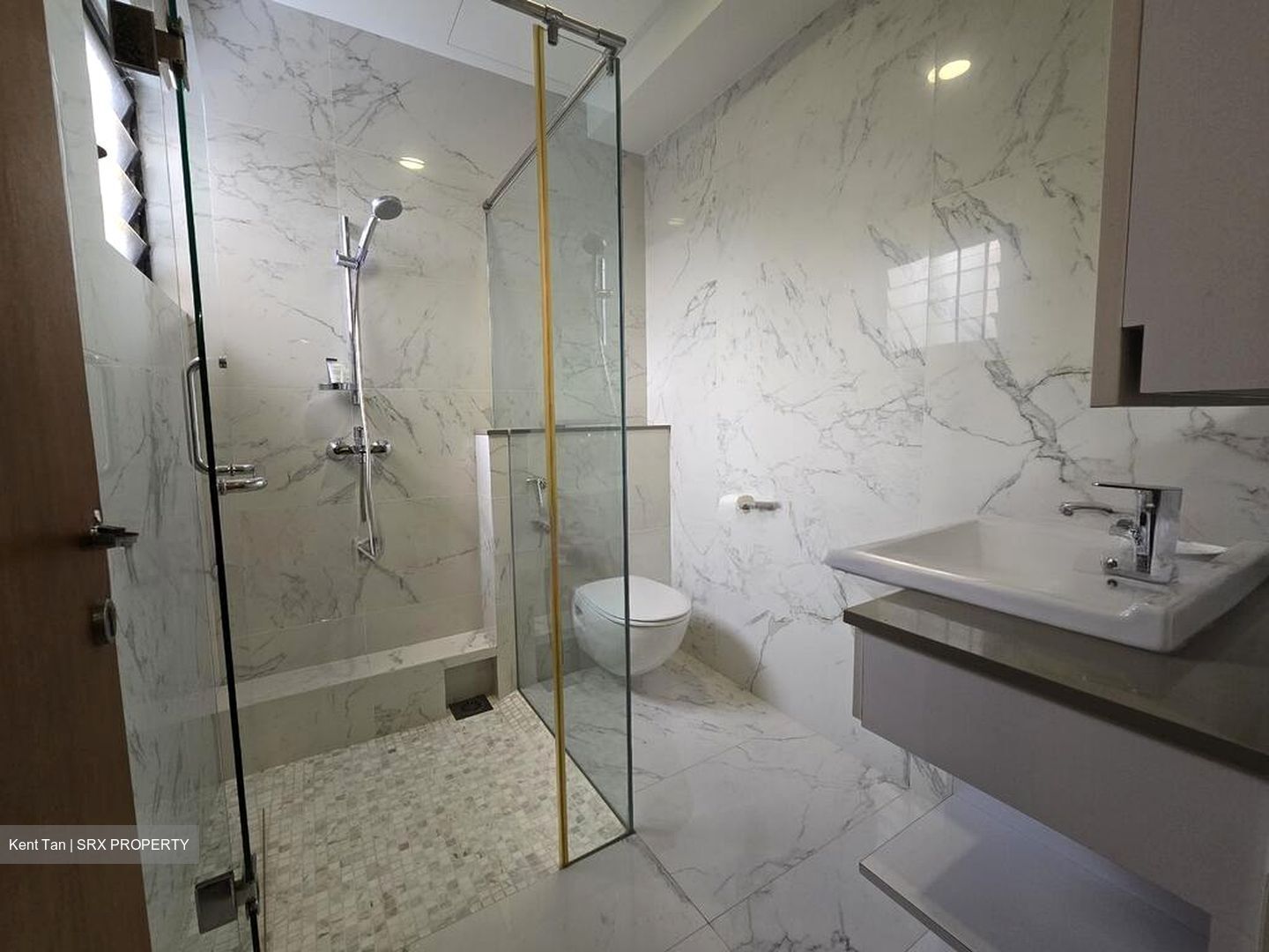 Regency Park (D10), Condominium #502705731